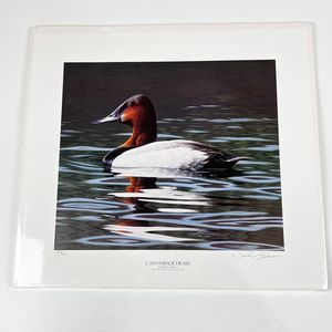 Neal Anderson Canvasback Drake 1989 Print 363/500 Artist Signed NEW~ 17"x15.5"